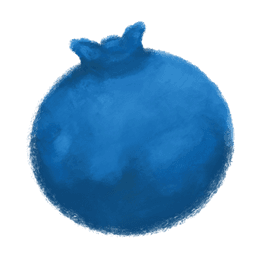Blueberry Illustration